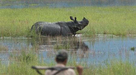 Assam floods: Heavy rains leave Kaziranga National Park inundated, animals being shifted to safe spots