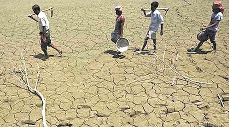 Rain deficit in Punjab rising, Punjab rain deficit, Haryana and Punjab rising rain deficit, Monsoon, Rain, Punjab News, Indian Express News