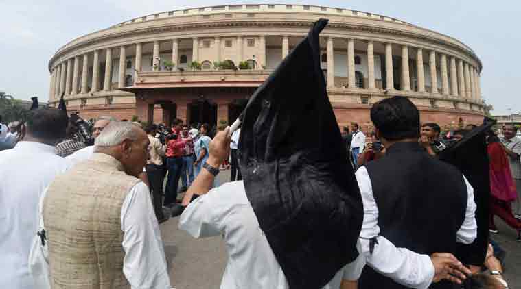 Delhi Parliament House Protest, Delhi Parliament Anti-Lynching Protest, Delhi Parliament Activist Detained, Delhi Parliament, Activist Detained Delhi Parliament, India News, Indian Express, Indian Express News