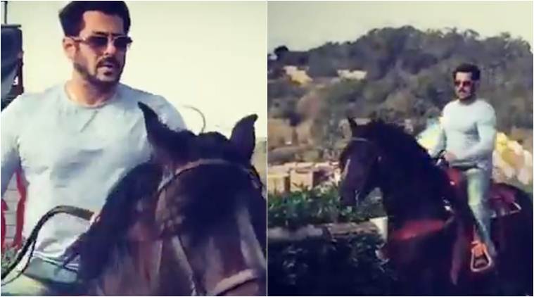 salman khan, salman khan tiger zinda hai, salman khan horse riding, tiger zinda hai,