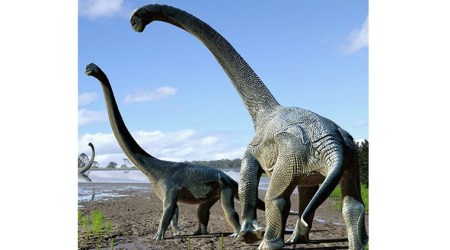 Dinosaur remains found at rediscovered old site in Australia