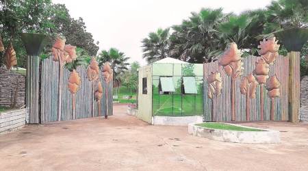 Chhattisgarh minister’s wife buys state forest land to build a resort, his dept says we can do nothing