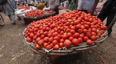 Seeing red: why is tomato on fire?
