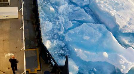 Arctic voyage captures global warming impact on ice, animals in these astounding pictures