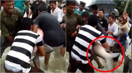 WATCH: Assam floods bring MASSIVE FISH onto the national highway!