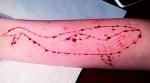 Blue Whale: Underground, unknown and dangerous