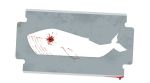 Blue Whale Challenge: Supreme Court wants DD to air programme; this is what other courts have ordered
