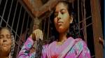Fresh cases of mysterious hair-chopping surface in Aligarh, Moradabad and Bulandshahr