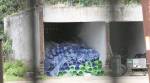 Two-bin Waste Segregation System: And now who will segregate these bins at source?