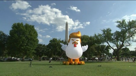Indian origin activist places giant inflatable ‘Trump chicken’ near White House