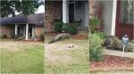 WATCH: What to do when a GIANT ALLIGATOR decides to make a HOUSE visit?