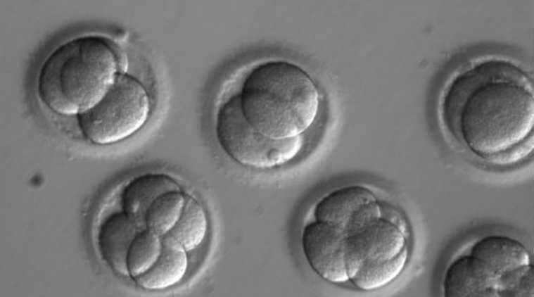 gene editing of human embryos , Kashmiri doctor gene editing, genetically modified human embryos, Sanjeev Kaul gene editing, designer babies, CRISPR CAS9, India News, Indian Express news