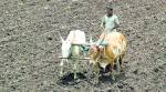 Crop Insurance scheme: 70 lakh covered, says govt; farmer leaders claim 40 per cent left out