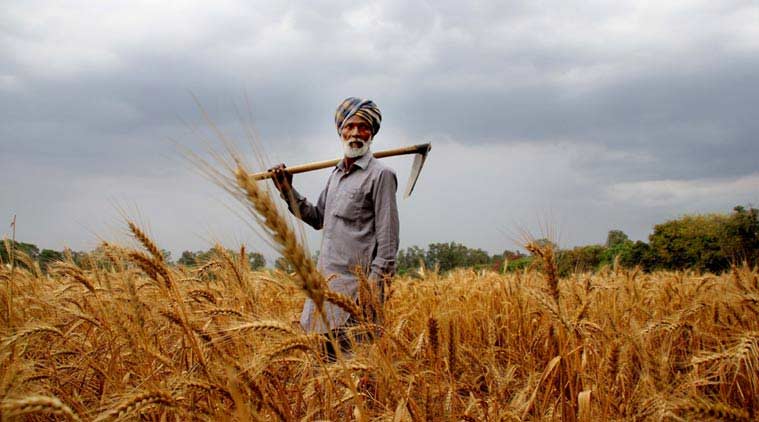 farmer protest flag hoisting, flag hoisting protest, farmer loan, loan waiver, agricultural loan, indian express news, maharashtra farmer protest, india news, mumbai news