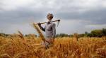 Loan waiver: 100 farmers linked to single Aadhaar number