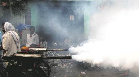 Drop in vision traced to inflammation caused by dengue fever, say doctors