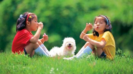 Happy Friendship Day 2017 Facebook, SMS and WhatsApp Messages, Status, Greetings and Images