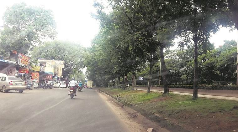metro construction, metro corridor, Pune Metro, deforestation, tree cutting, India news, Indian Express, Pune news