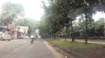 Metro corridors: 700 trees on chopping block in Pune, locals see red
