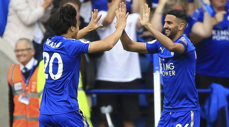 leicester city, leicester vs brighton, premier league