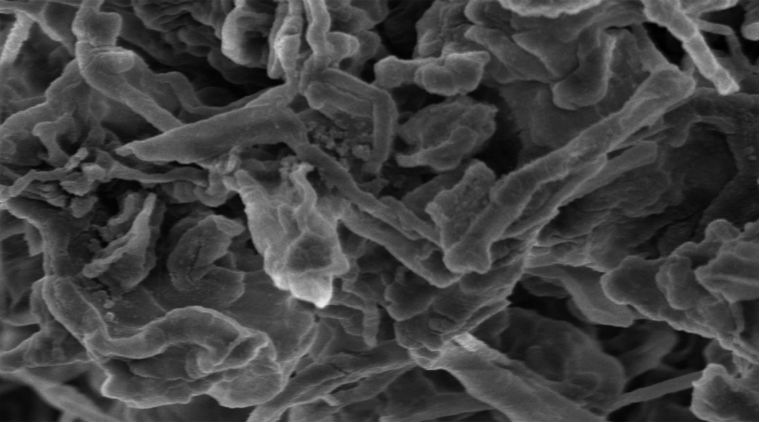 nanodiamonds, lithium batteries, smartphones, laptops, batteries