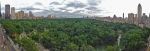 US crushes nearly two tons of ivory in New York Central Park