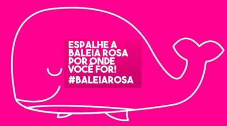 What is pink whale challenge?