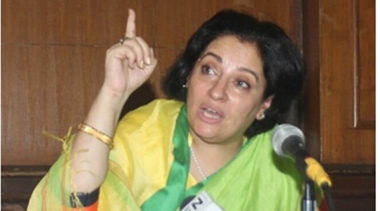 Delhi Court, Delhi Court Adoption, Delhi court On Adoption, Priya Singh Paul, India News, Indian Express, Indian Express News