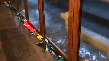 Here's how Lara Dutta Bhupathi is using husband Mahesh Bhupathi's Grand Slam towels in Mumbai rain, see pic