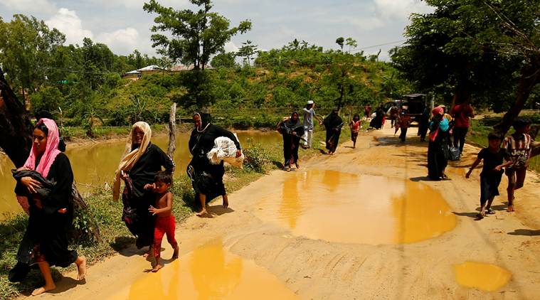 rohingya, myanmar, bangladesh, rohingya myanmar clash, rohingya refugees, bangladesh rohingya refugees, world news
