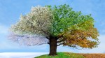 Karma Sutra: Seasons change, and so do life’s phases