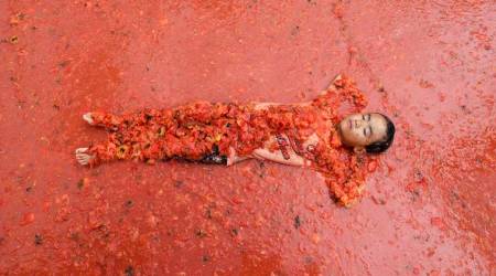 This week in pictures