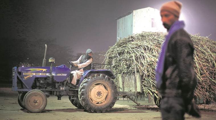 sugar mills, sugar consumption, sugar production, indian express news