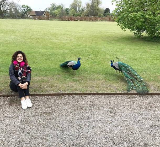 Taapsee Pannu, Taapsee Pannu birthday, happy birthday Taapsee Pannu, Taapsee Pannu turns 30, Taapsee Pannu photos, Taapsee Pannu images, Taapsee Pannu films, entertainment photos