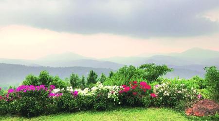 Villa with a view: A tryst with nature at Chikmagalur