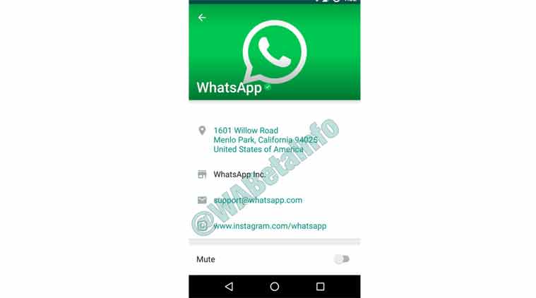 WhatsApp, WhatsApp Verified, WhatsApp Verified Account, WhatsApp Business, Business on WhatsApp, WhatsApp Verified accounts, WhatsApp Green Tick