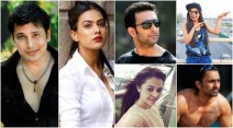 Bigg boss 11, Bigg boss 11 contestants, Bigg boss 11 final contestants, nia sharma, cezanne khan, devoleena bhattacharjee, nandish sandhu, shinchak pooja, anuj saxena