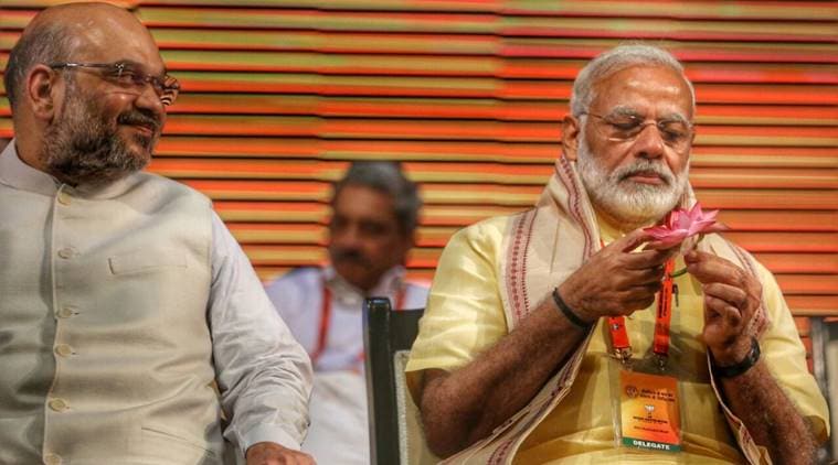 bjp national executive meet, bjp meeting, bjp national meet, narendra modi, amit shah, bjp delhi meet, bjp meeting, india news