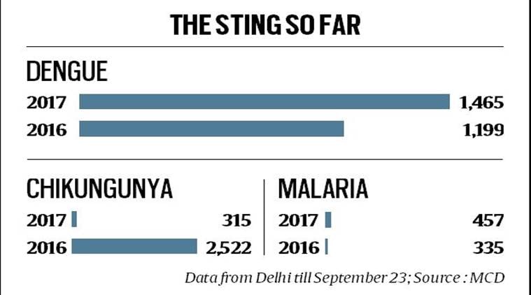 dengue, delhi dengue, delhi dengue cases, chikungunya, South Delhi Municipal Corporation, delhi news, indian express news  