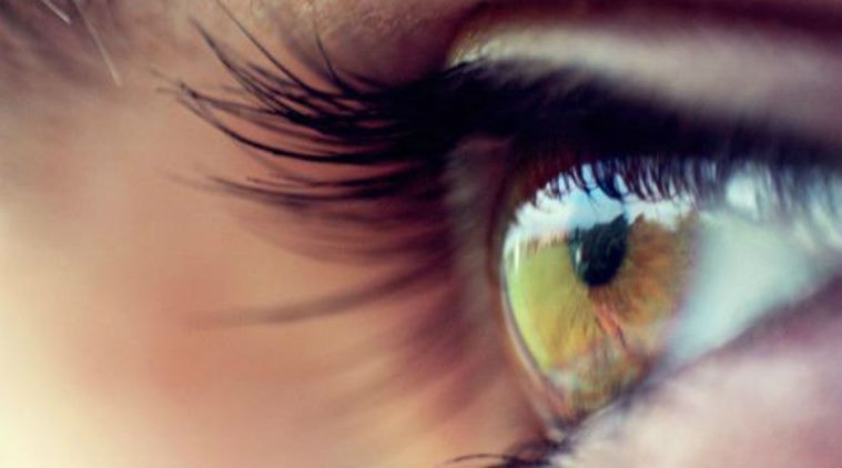 ADHD, eye movement, ADHD diagnosis, temporal expectation, anticipated visual events, predictable condition response, ADHD detection stimulus, event prediction and response 