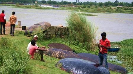 Ten minutes of playing catch: Livelihood of small fishing communities