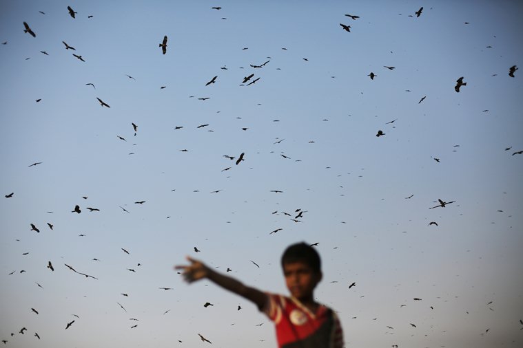 Ghazipur landfill