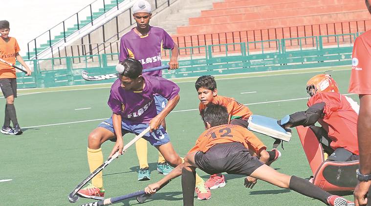 hockey news, sports news, indian express news, latest news