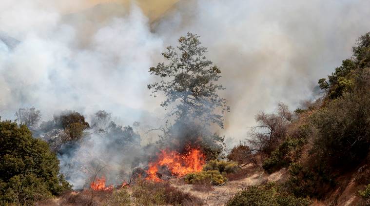  La Tuna Canyon fire, Los Angeles wildfire, California wildfire, Eric Garcetti, World news, Indian Express
