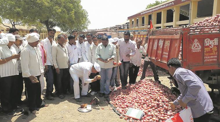 onion price, onion hoarding, agriculture produce, crop prices, farmers, agriculture, indian express news