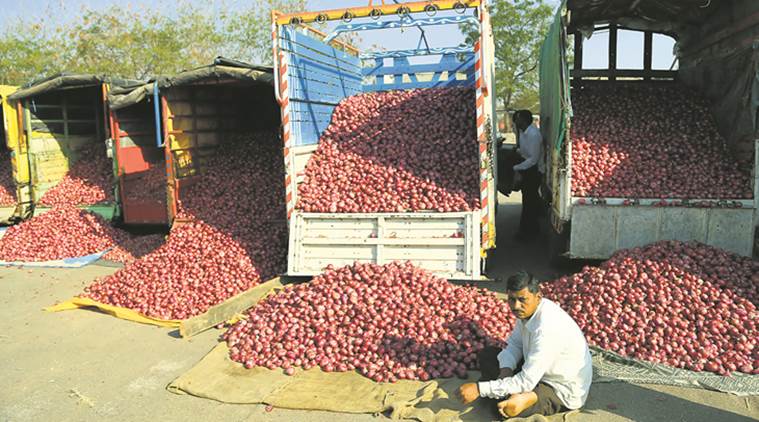 onion price, onion hoarding, agriculture produce, crop prices, farmers, agriculture, indian express news
