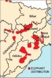 Human elephant conflict, Elephant conservation, elephant conflict, elephant removal zones, captive elephants, India news, Indian Express