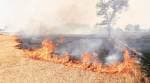 Stubble burning: Punjab’s Taran Taran, Firozpur, Faridkot districts accounted for 35% of field fires on Diwali