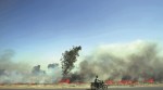 Crop-burning could have been avoided this year, but finding money was a problem