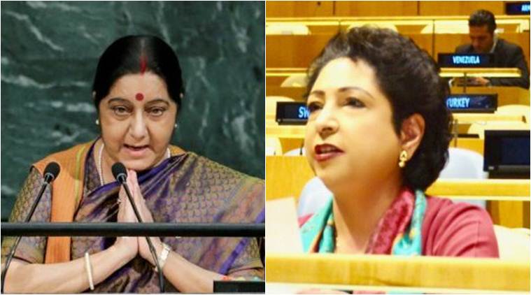 Pakistan criticses India, G4 nations on UNSC reform